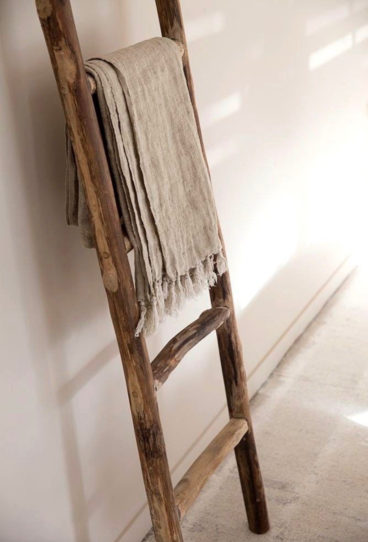 The Ladder