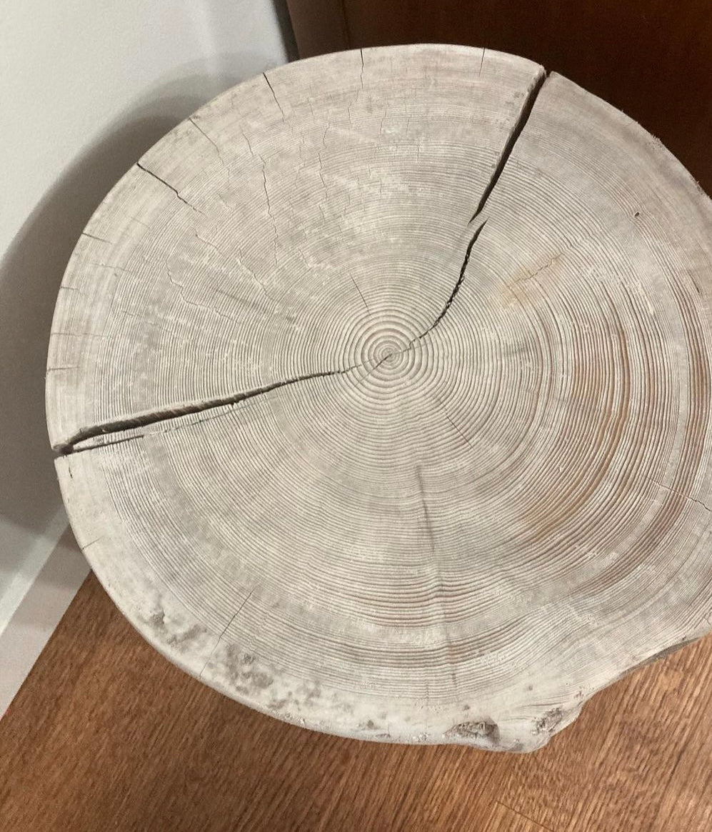The Cambium Stool