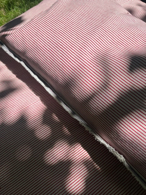Red & White Striped Ticking Day Mattress & Matching Pillow