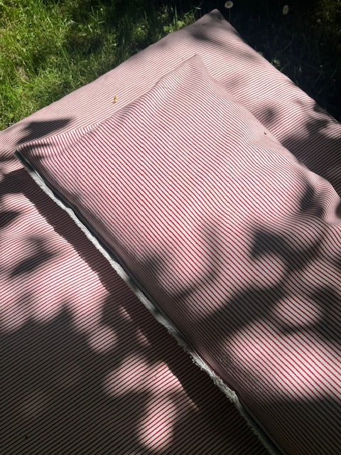Red & White Striped Ticking Day Mattress & Matching Pillow