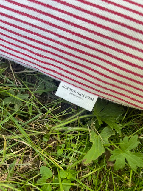 Red & White Striped Ticking Day Mattress & Matching Pillow