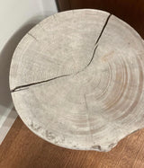 The Cambium Stool