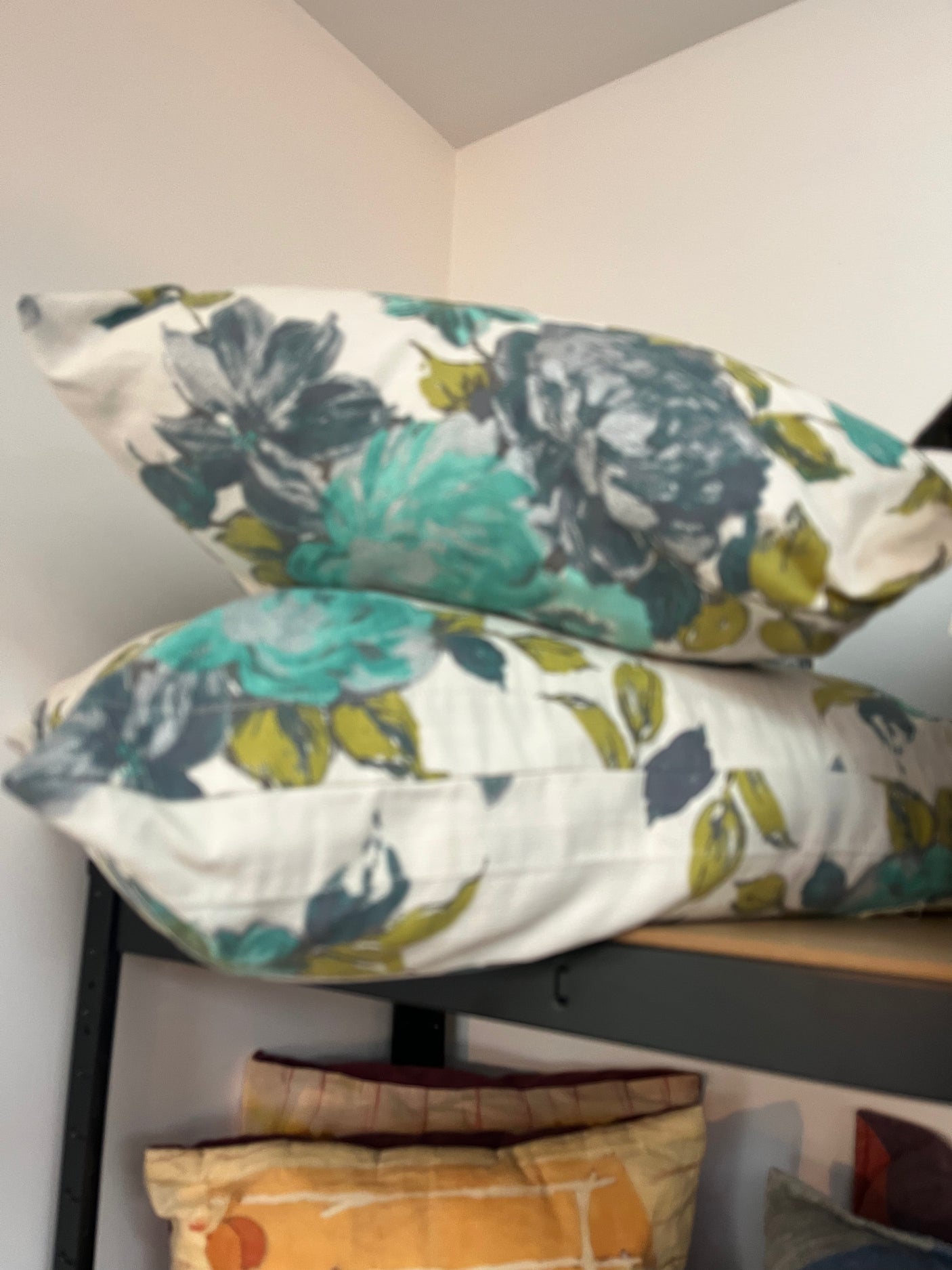 Pair Designers Guild Cushions