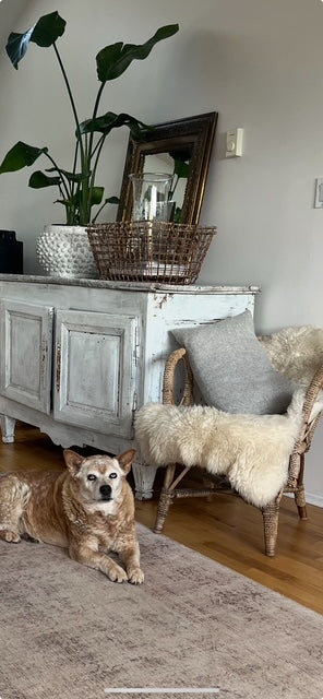 Furniture Restoration & Upholstery - POA