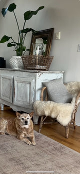 Furniture Restoration & Upholstery - POA